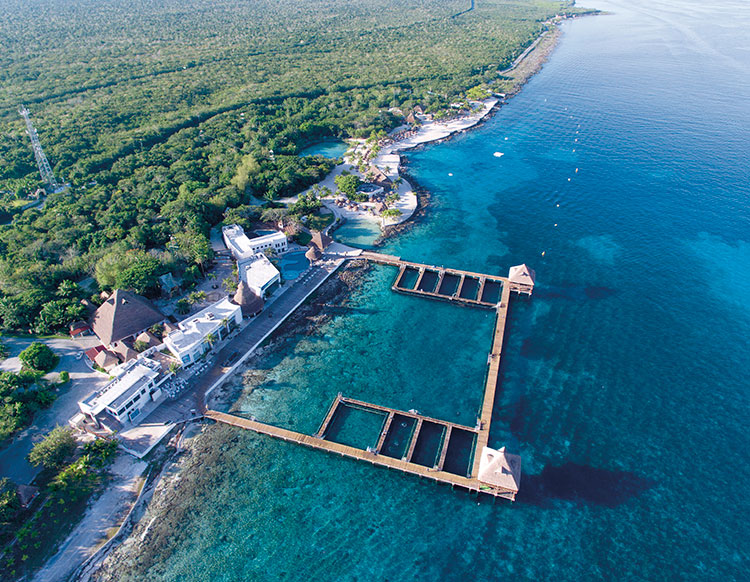 Cozumel  Header Image