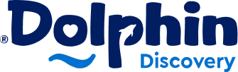 Logo Dolphin Discovery